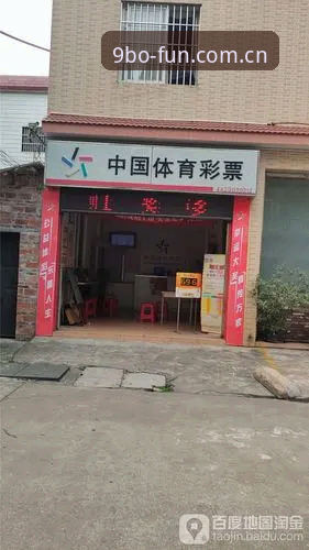 手机上的门面：9博体育平台的中国官方主站手机版体验解析